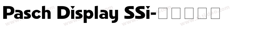 Pasch Display SSi字体转换